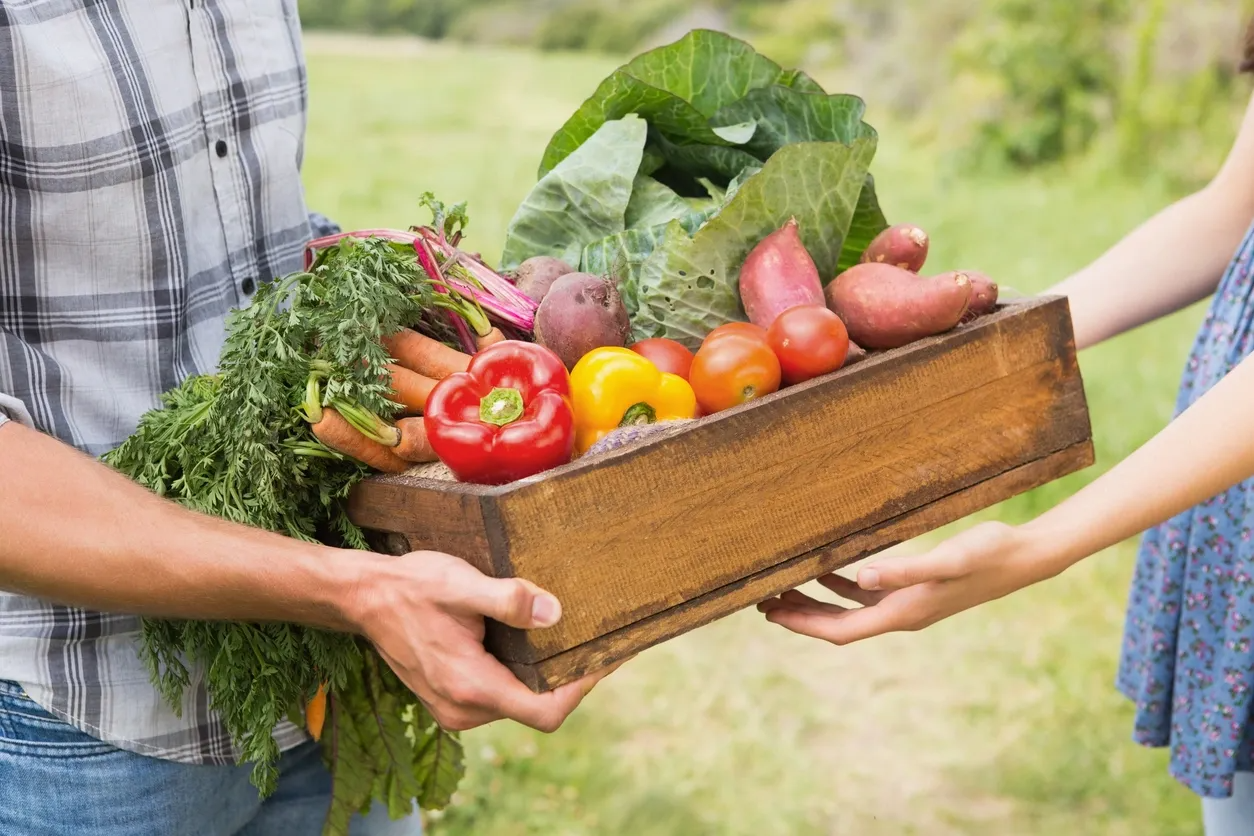 giving box of vegetables